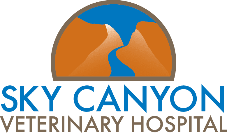 Sky Canyon Vet Hospital
