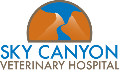 Sky Canyon Vet Hospital