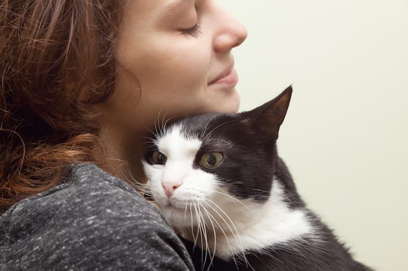 Cat Adoption Tips | Sky Canyon Veterinary Hospital | Grand Junction Colorado