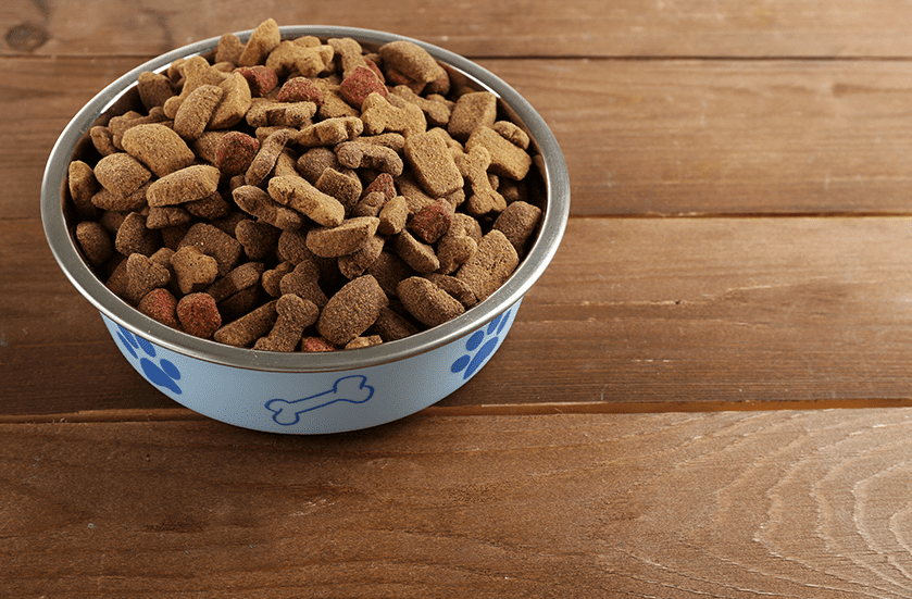 Nutritional Consulting for Dogs & Cats | Sky Canyon Veterinary Hospital | Grand Junction Colorado