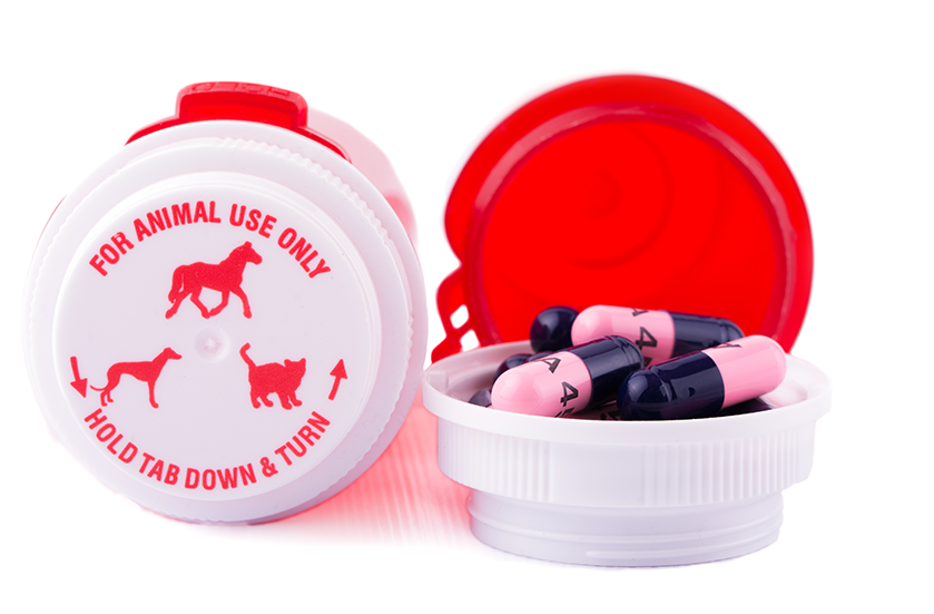 Pet Meds & Prescription Refills for Dogs & Cats | Sky Canyon Veterinary Hospital | Grand Junction Colorado