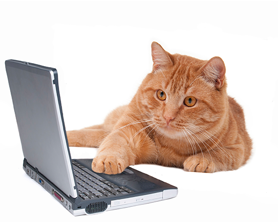 Veterinary Hospital | Sky Canyon Veterinary Hospital | Grand Junction, Colorado