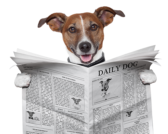 Veterinary Hospital | Sky Canyon Veterinary Hospital | Grand Junction, Colorado
