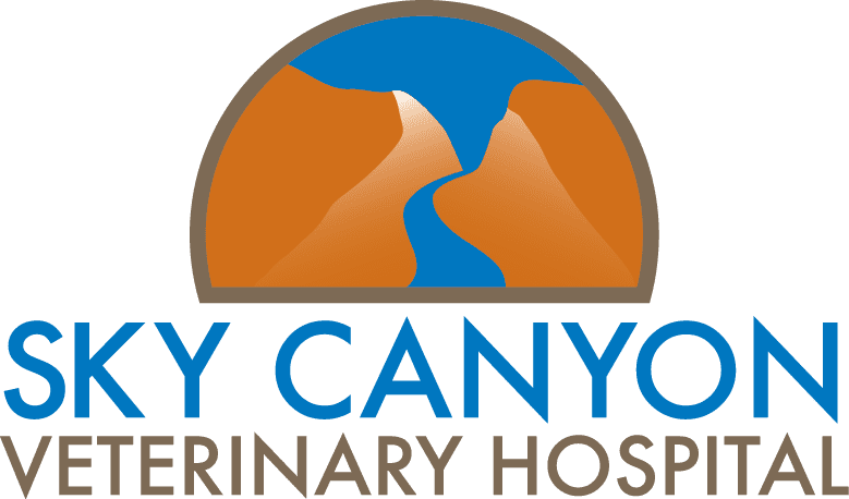 Sky Canyon Vet Hospital