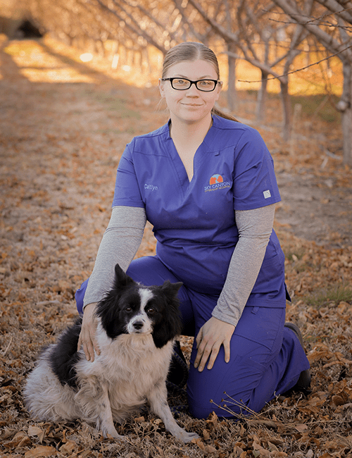 Sky Canyon Veterinary Hospital | Vets Near Me Grand Junction