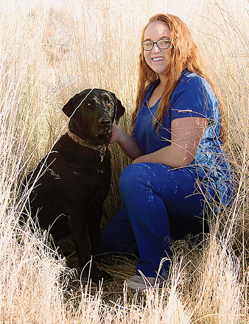 Sky Canyon Veterinary Hospital | Vets Near Me Grand Junction