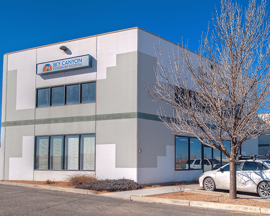 Sky Canyon Veterinary Hospital