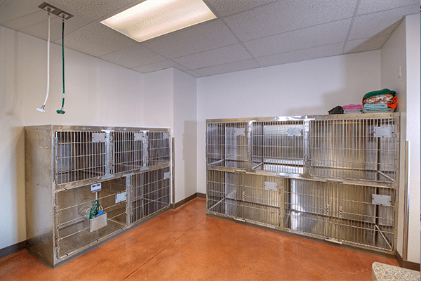 Sky Canyon Veterinary Hospital