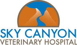 Sky Canyon Vet Hospital